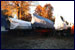 Winterplanen